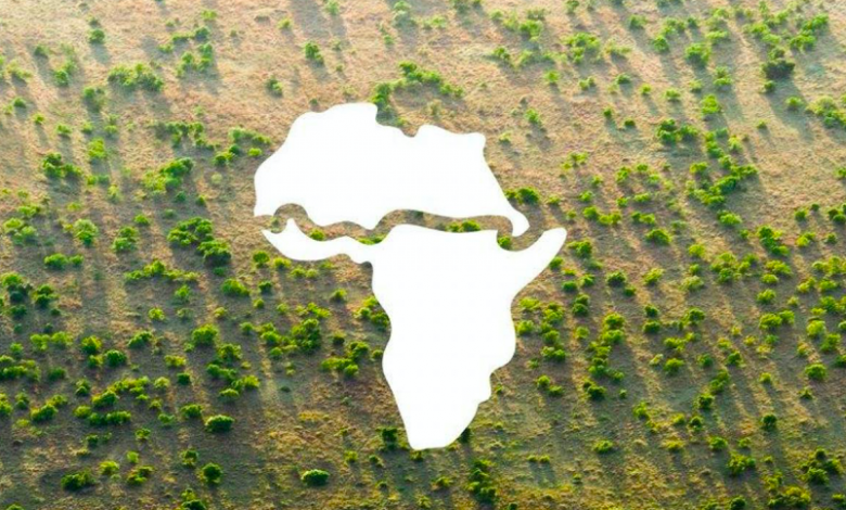 Africa La Grande Muraglia Verde A Sostegno Dellambiente