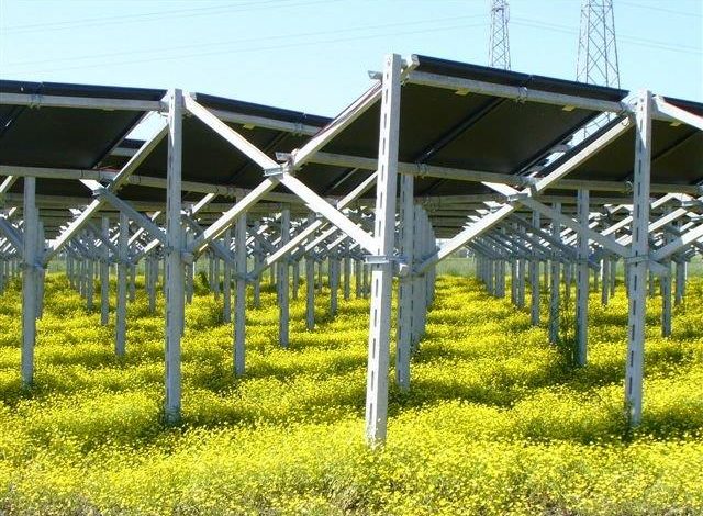 Photo of Agrivoltaico, ecco dove si possono installare i pannelli